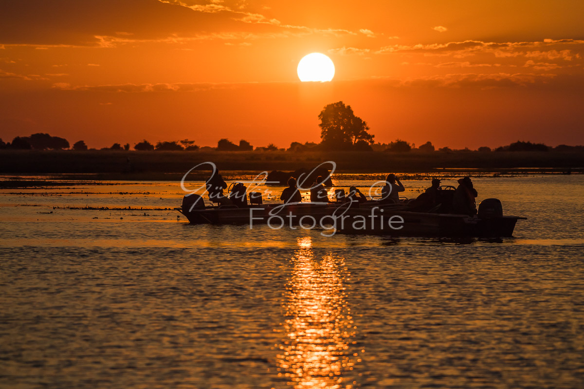 Sonnenuntergang am Chobe Fluß