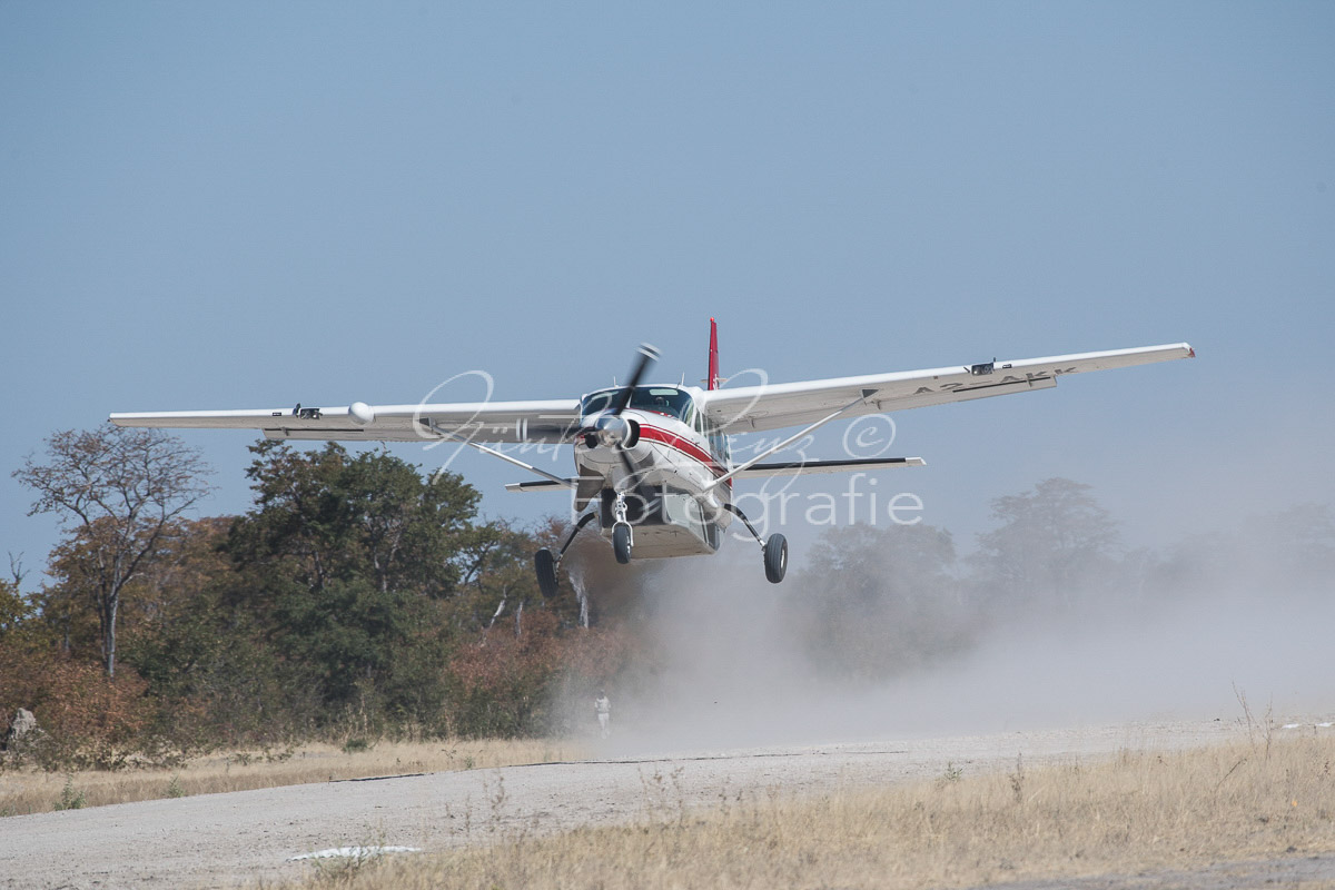 Moremi Gamereserve,
