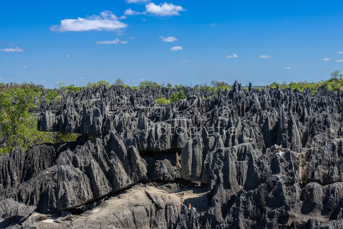 Tsingy du Bemaraha