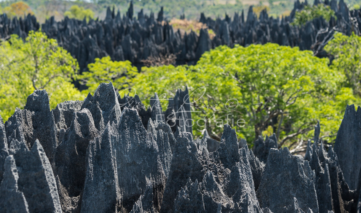 Tsingy du Bemaraha