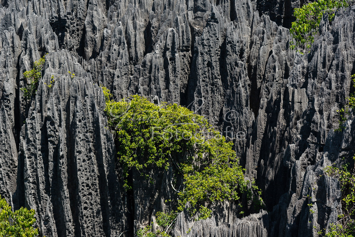Tsingy du Bemaraha