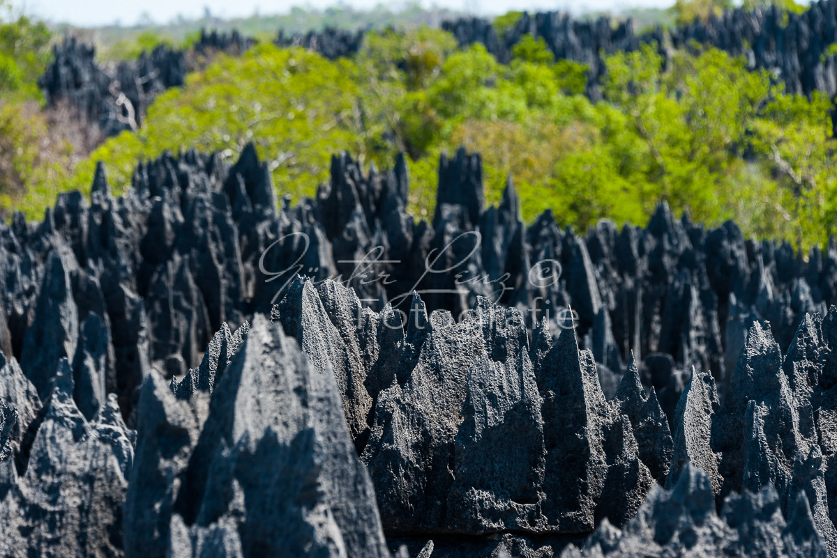 Tsingy du Bemaraha