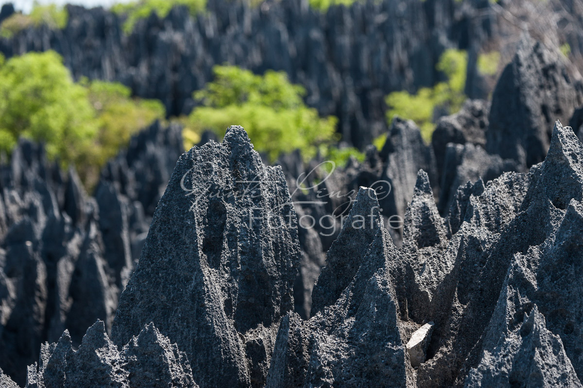 Tsingy du Bemaraha