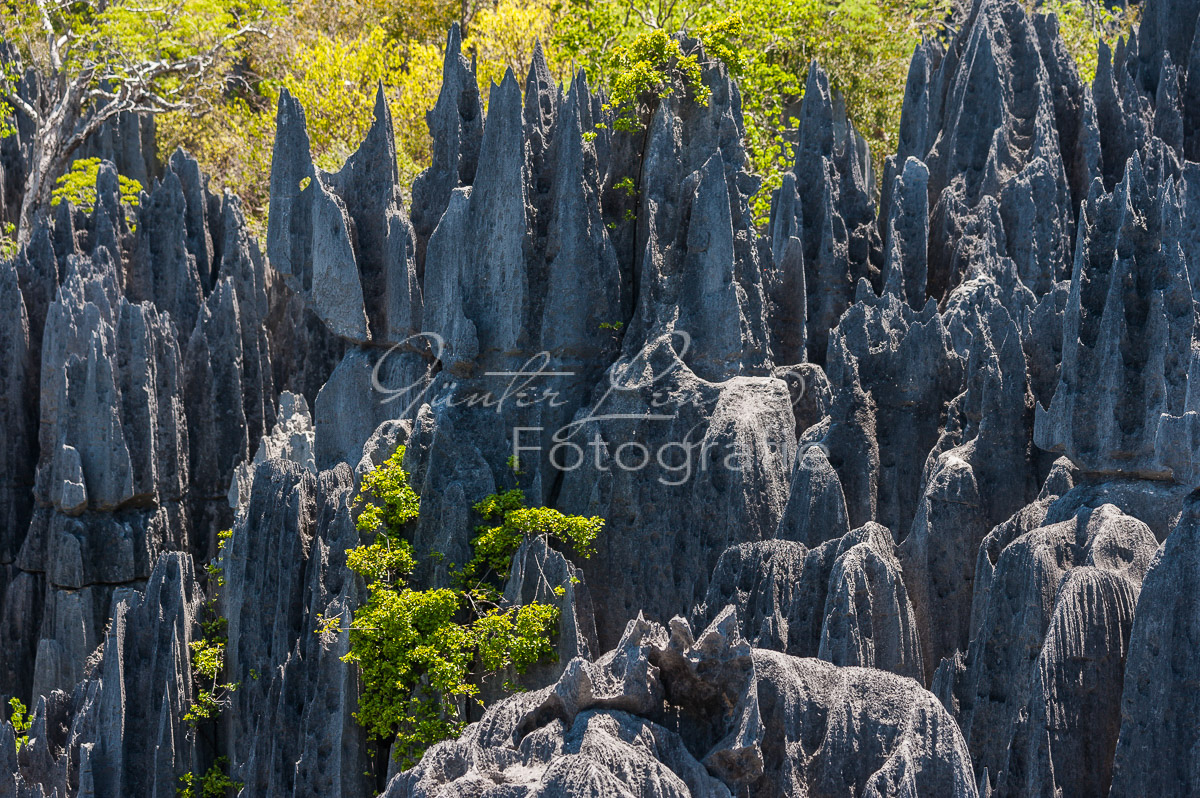 Tsingy du Bemaraha