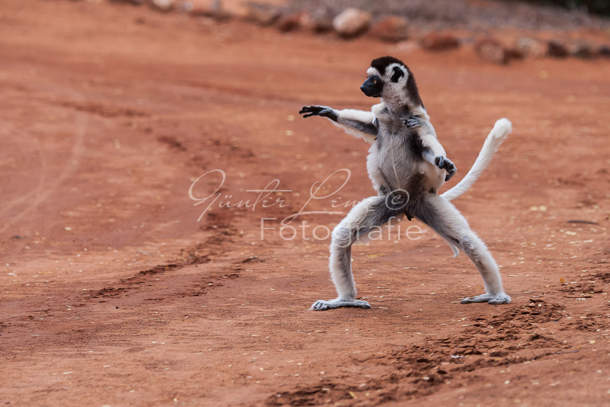 Madagaskar