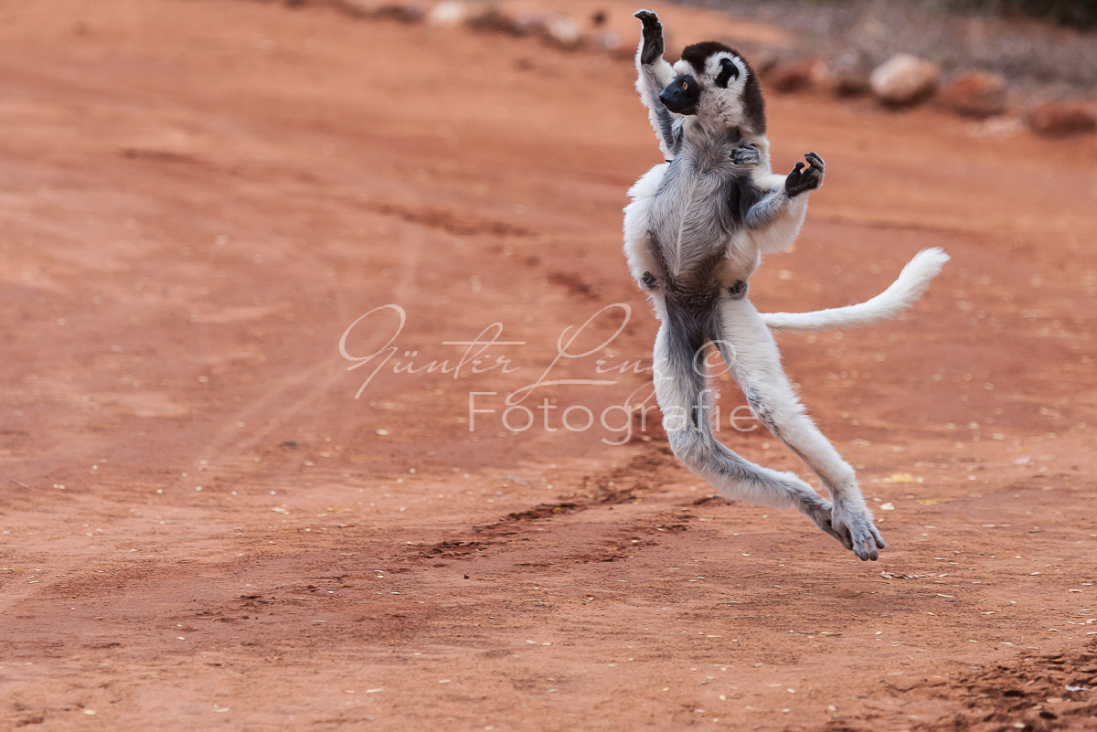Madagaskar