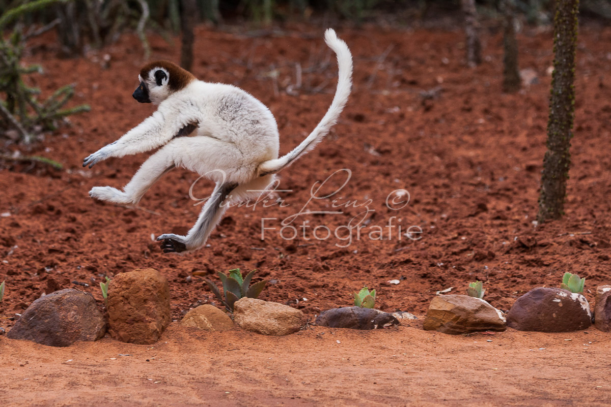 Madagaskar
