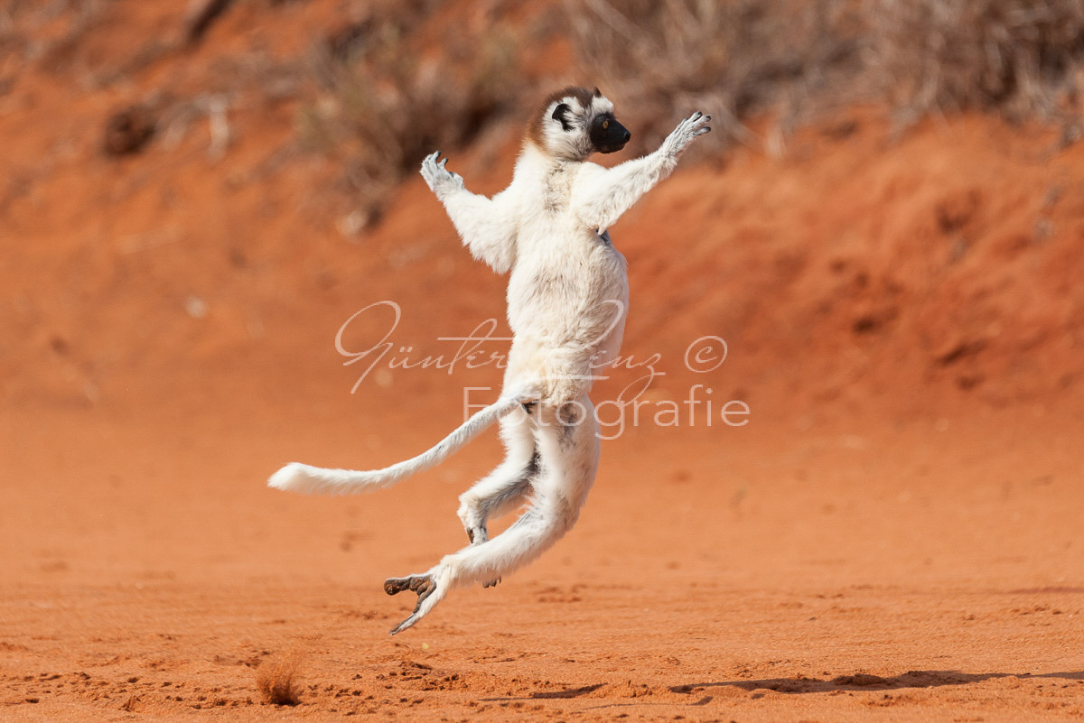 Madagaskar