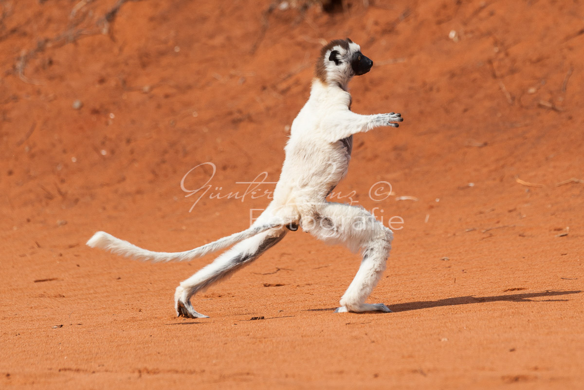 Madagaskar