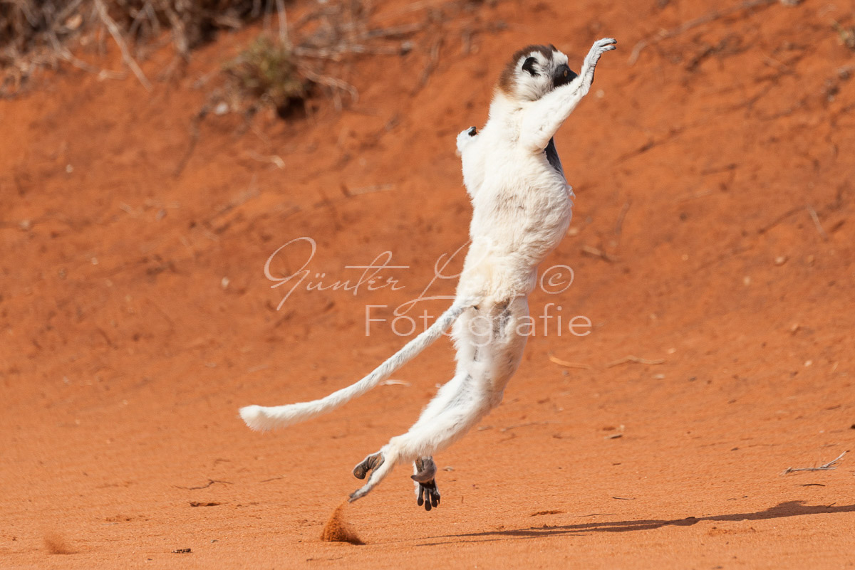 Madagaskar