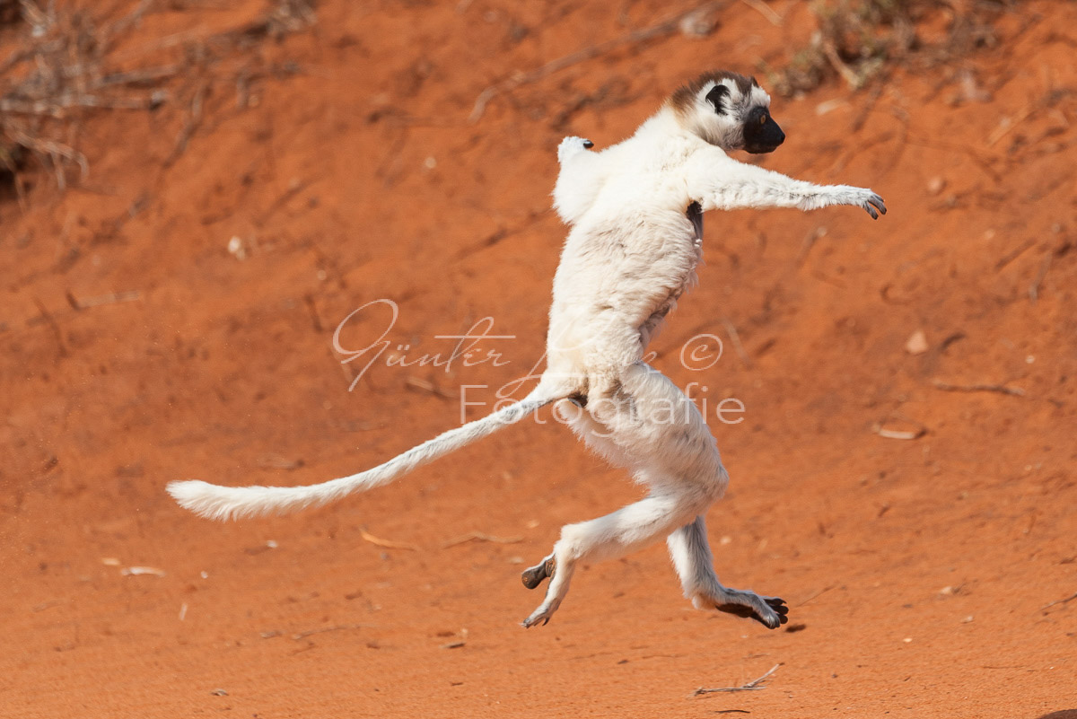 Madagaskar
