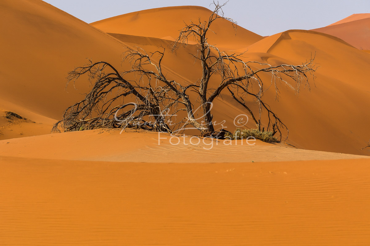 Sossusvlei, Namib Wüste