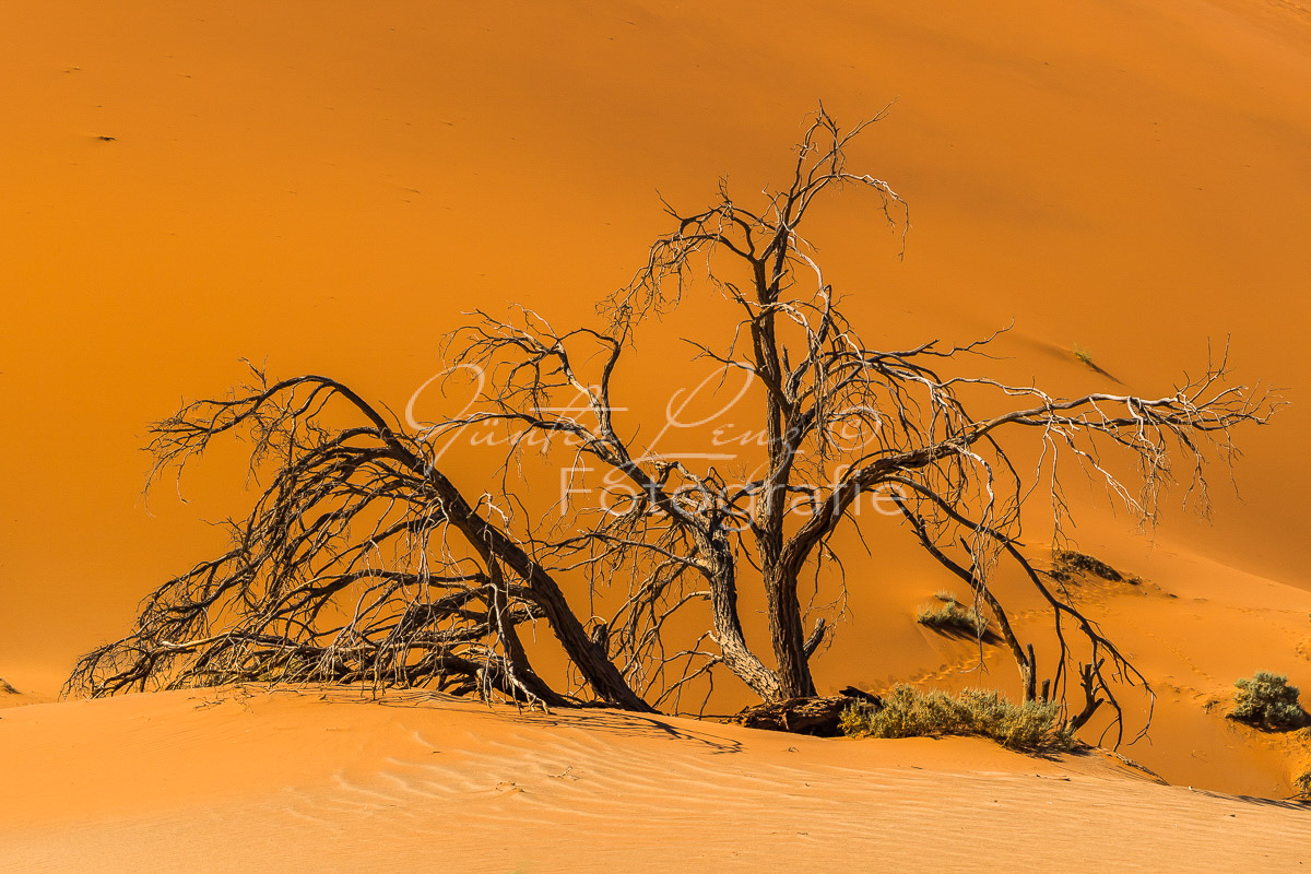 Sossusvlei, Namib Wüste