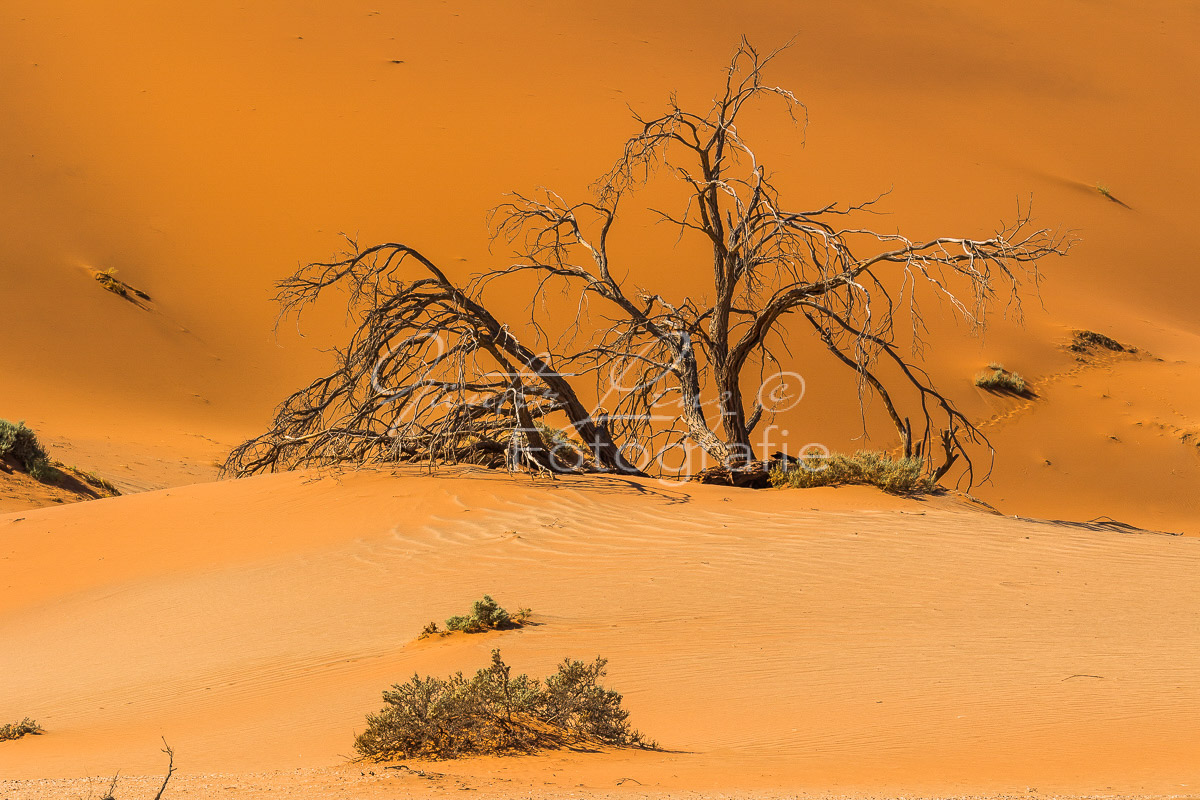 Sossusvlei, Namib Wüste