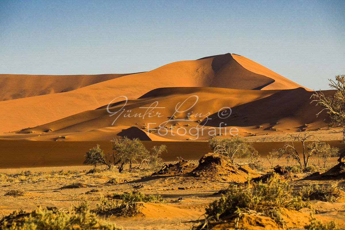 Sanddüne Big Mama, Sossusvlei, Namib Wüste