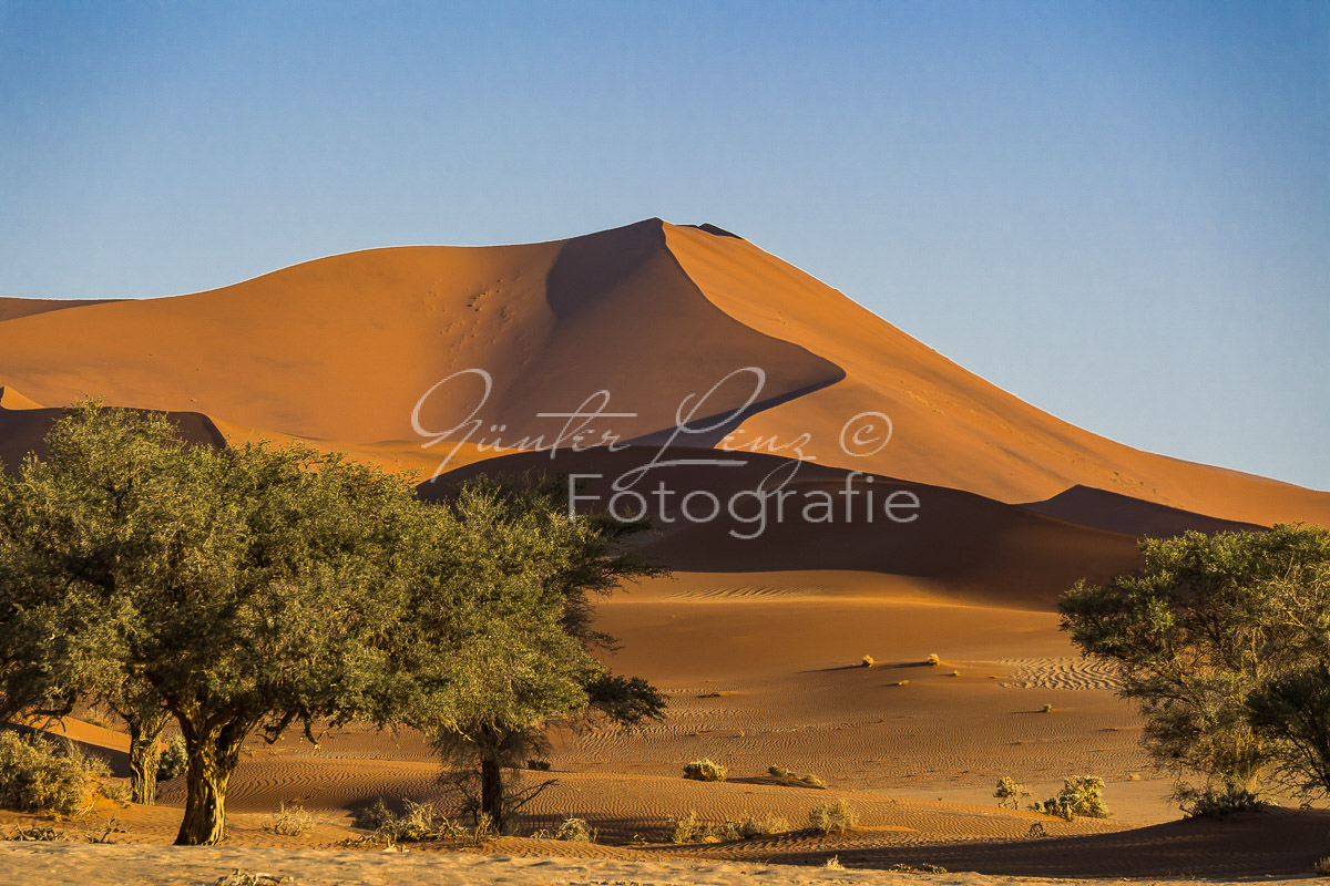 Sanddüne Big Mama, Sossusvlei, Namib Wüste