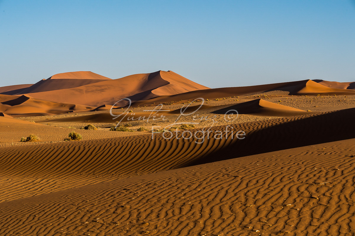 Sanddüne Big Mama, Sossusvlei, Namib Wüste