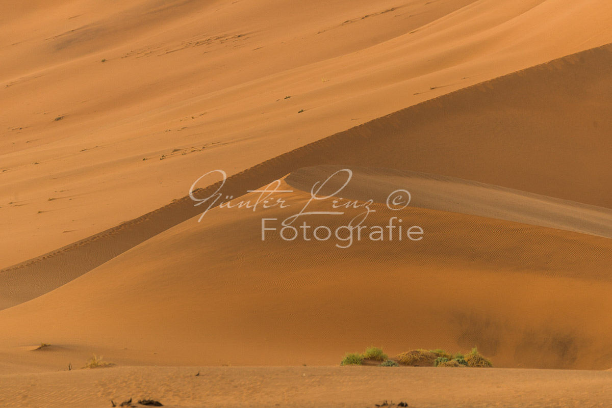 Sanddüne, Sossusvlei, Namib Wüste