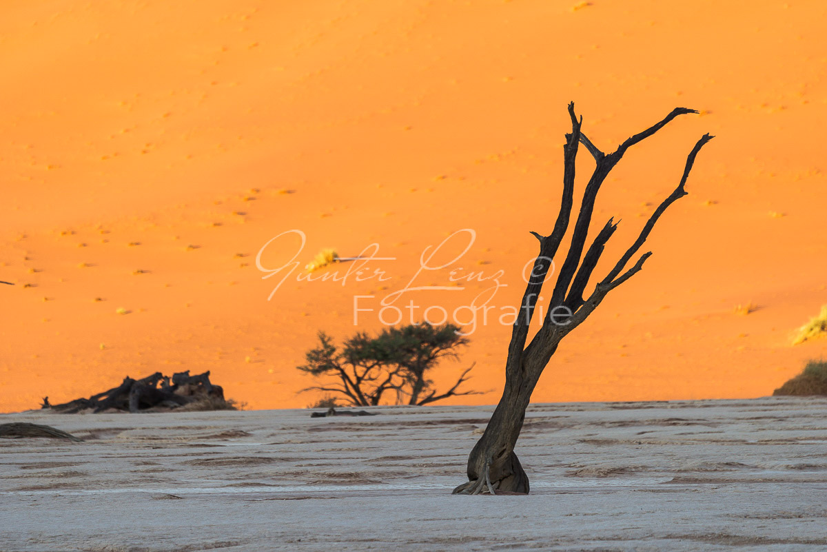 Deadvlei, Sossusvlei, Namib Wüste
