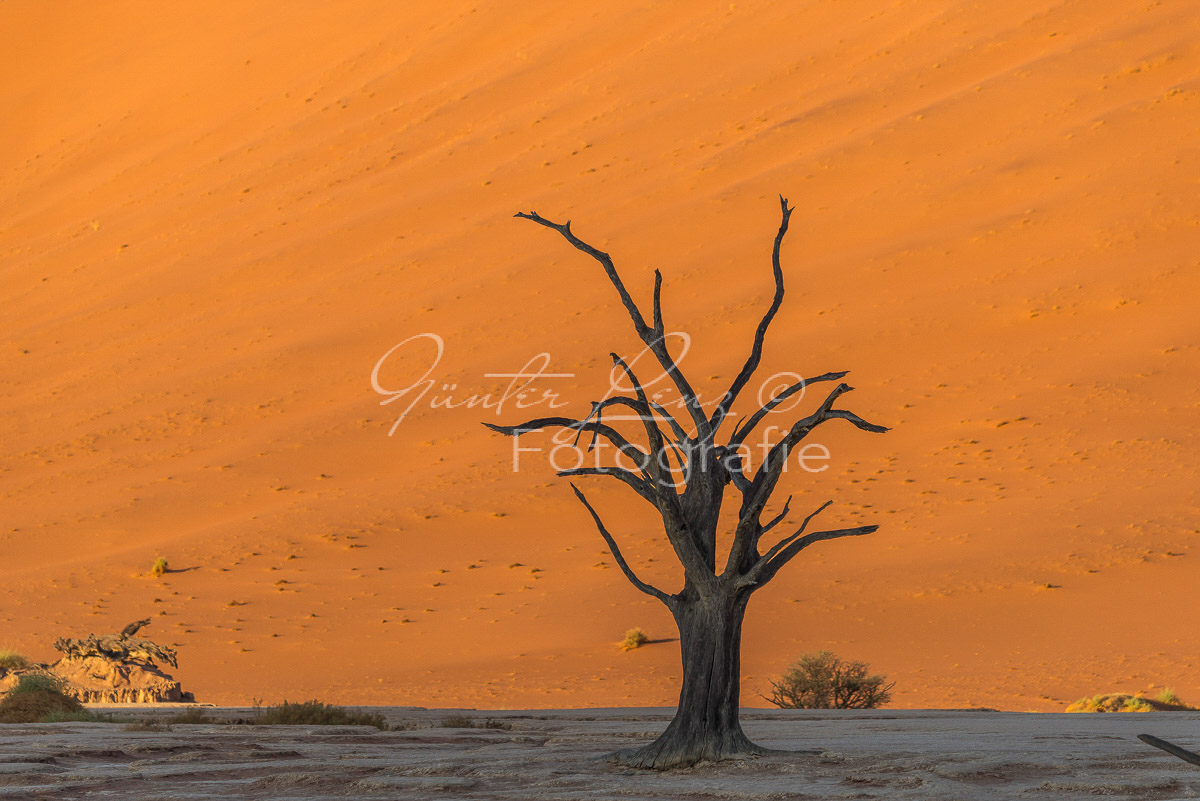 Deadvlei, Sossusvlei, Namib Wüste