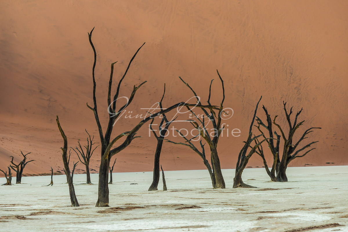 Deadvlei, Sossusvlei, Namib Wüste
