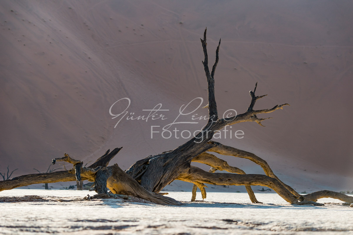 Deadvlei, Sossusvlei, Namib Wüste