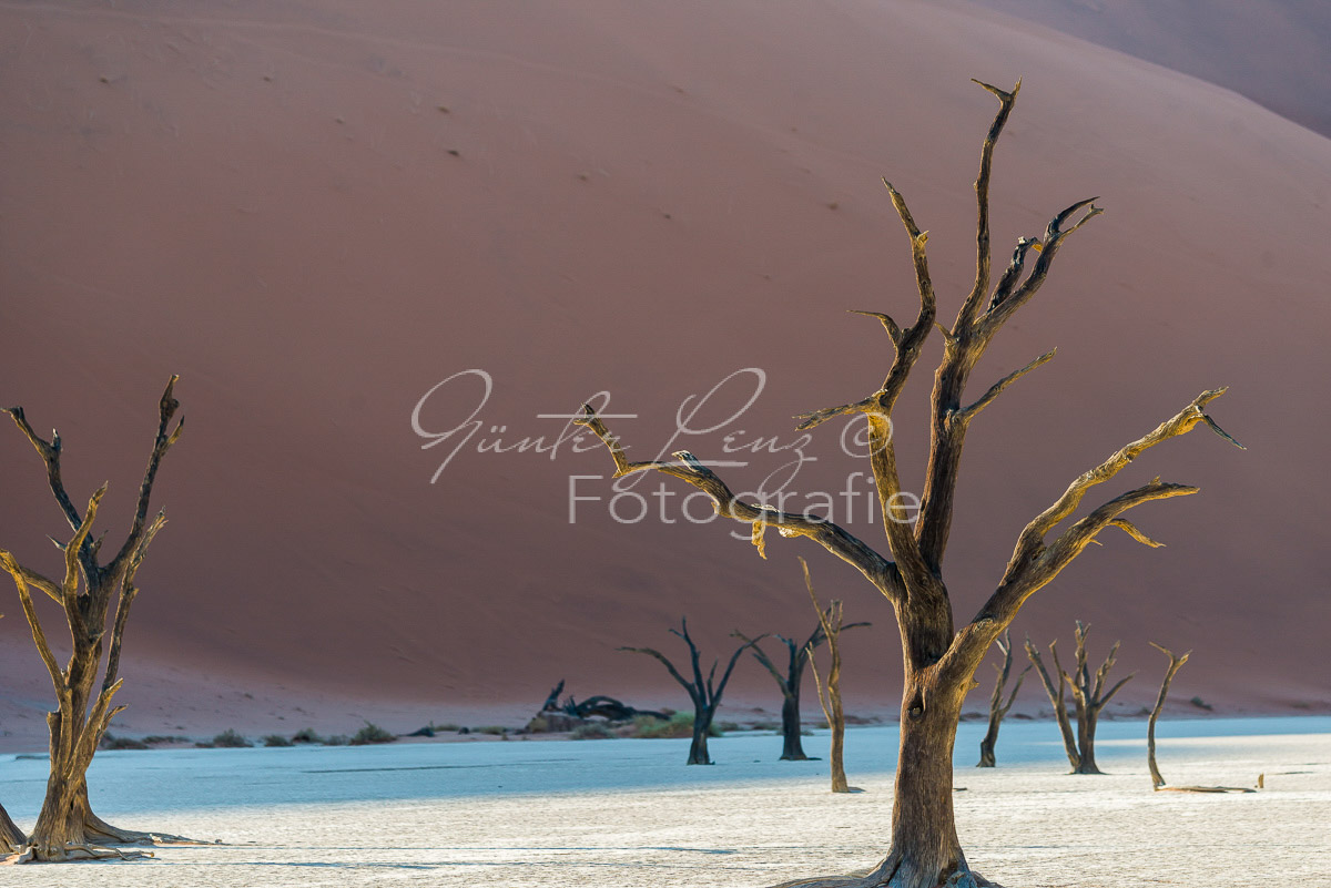 Deadvlei, Sossusvlei, Namib Wüste