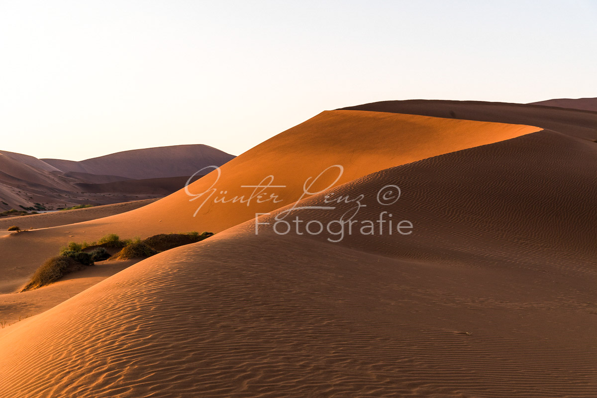 Sanddüne im Sossusvlei, Namib Wüste