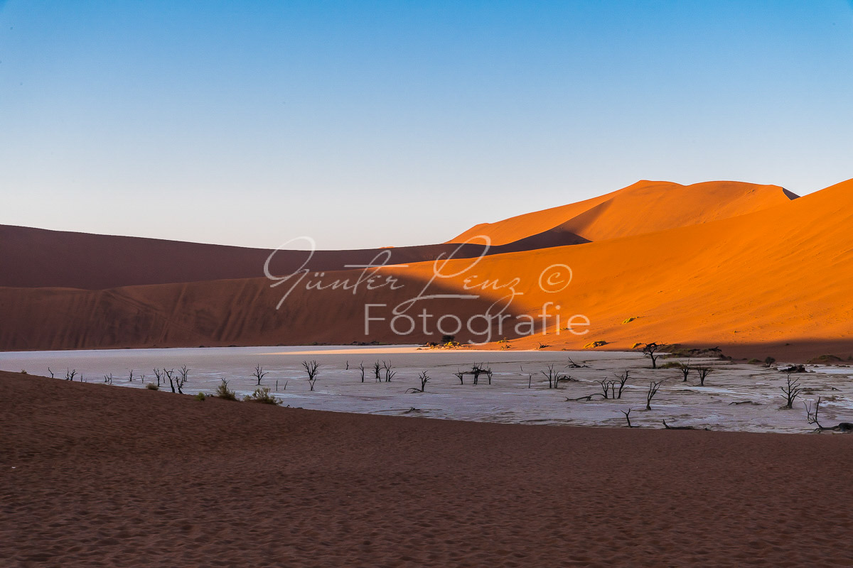 Deadvlei, Sossusvlei, Namib Wüste