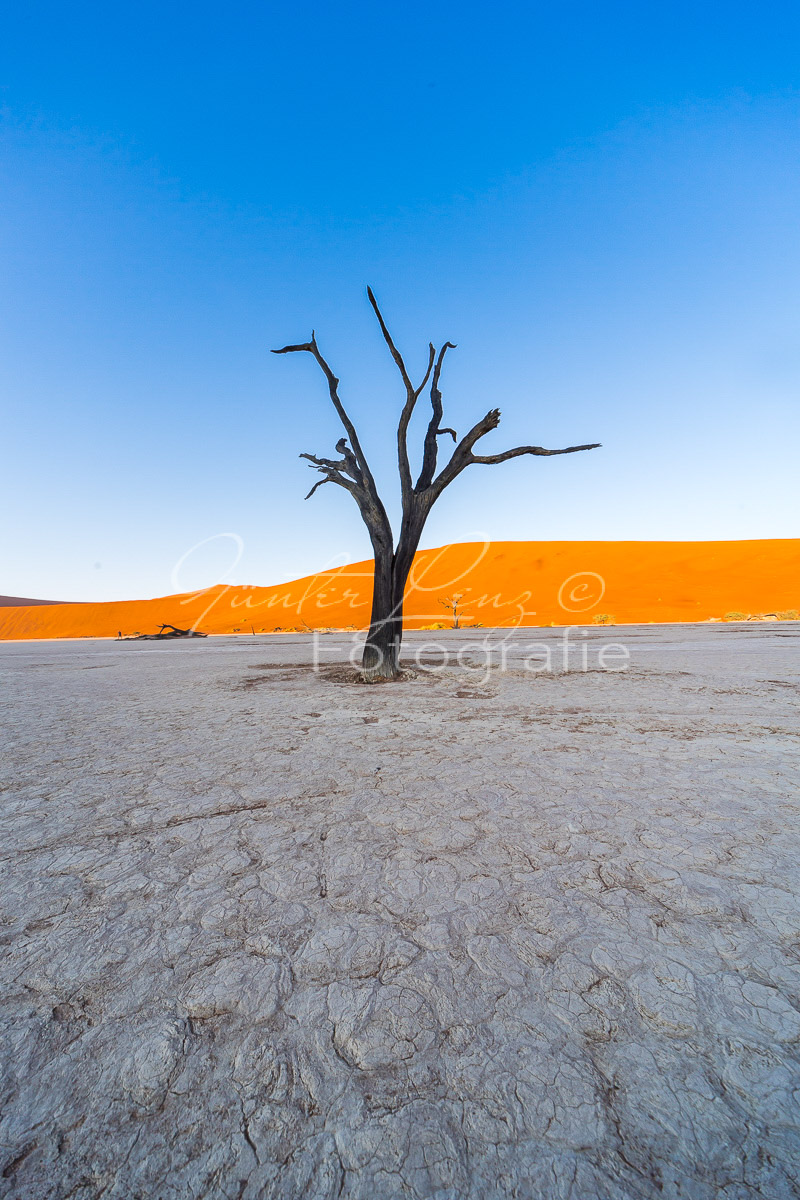 Deadvlei, Sossusvlei, Namib Wüste
