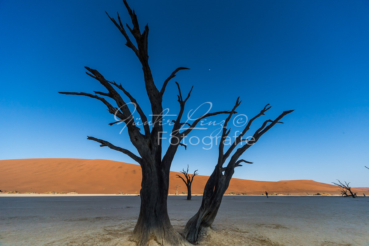 Big Mama, Sossusvlei, Namib Wüste