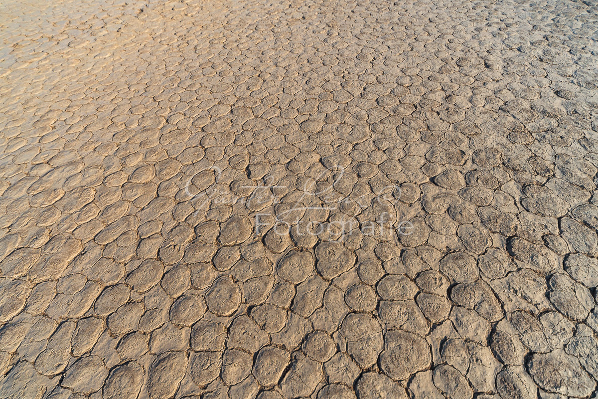 Deadvlei, Sossusvlei, Namib Wüste