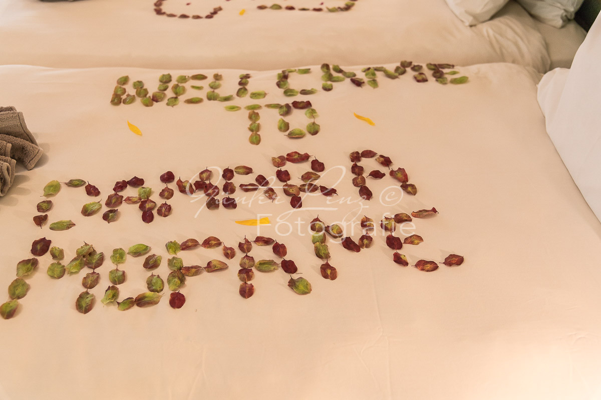 Damara Mopane Lodge