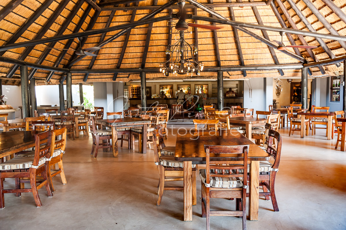 Sabie Sand Wildreservat, Südafrika
