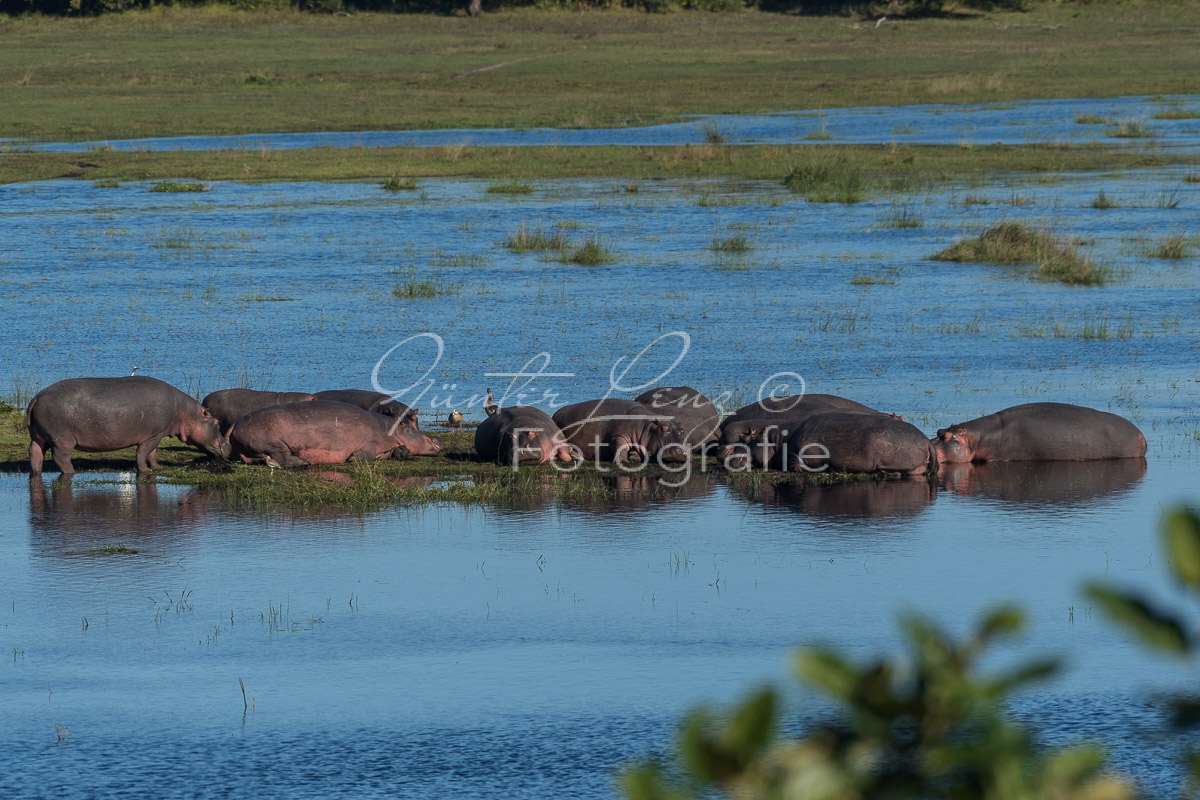 iSimangaliso Wetland Park