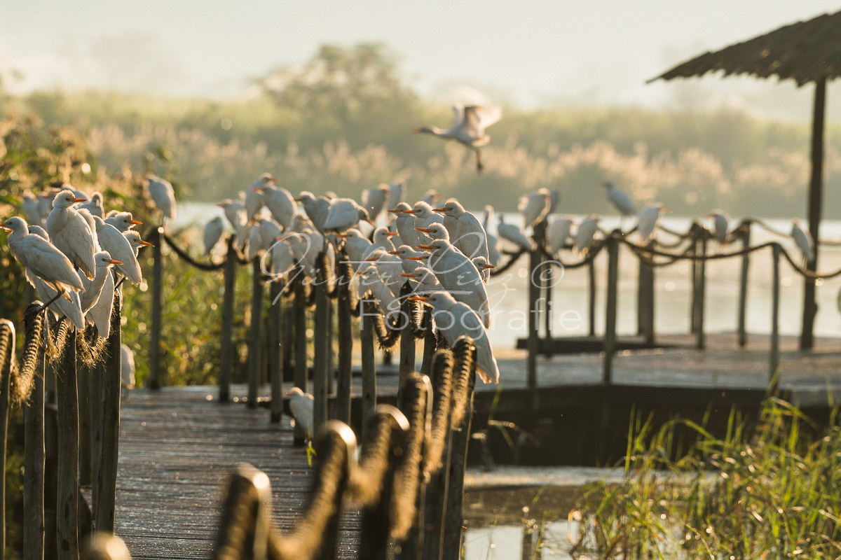 KwaZulu-Natal,