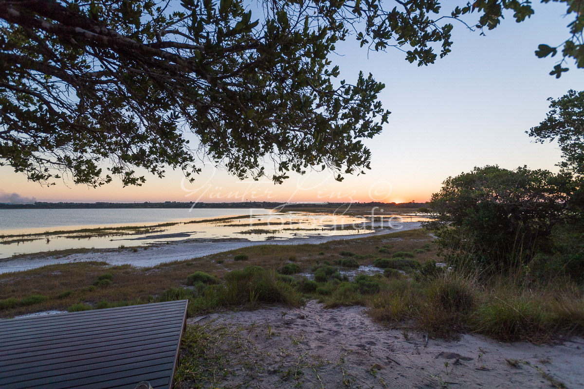 Kosi Forest, iSimangaliso Wetland Park