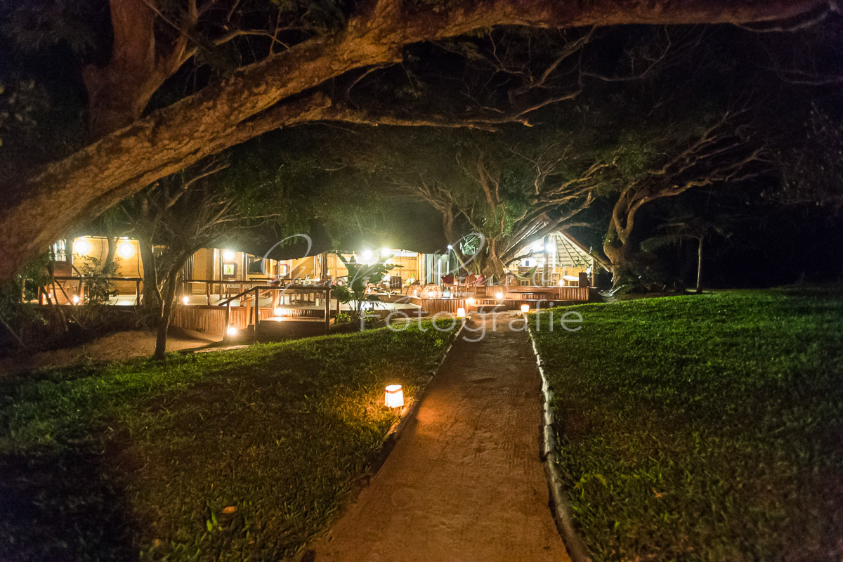 Kosi Forest, iSimangaliso Wetland Park
