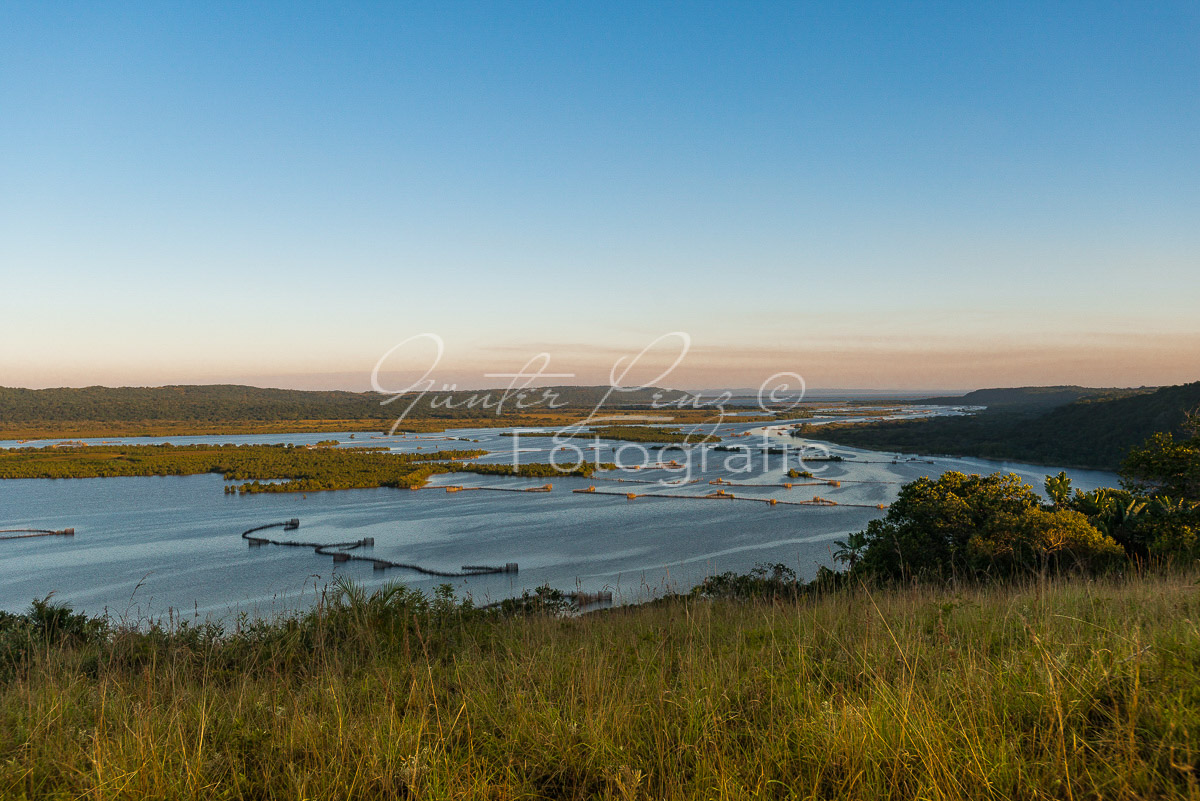Kosi Forest, iSimangaliso Wetland Park