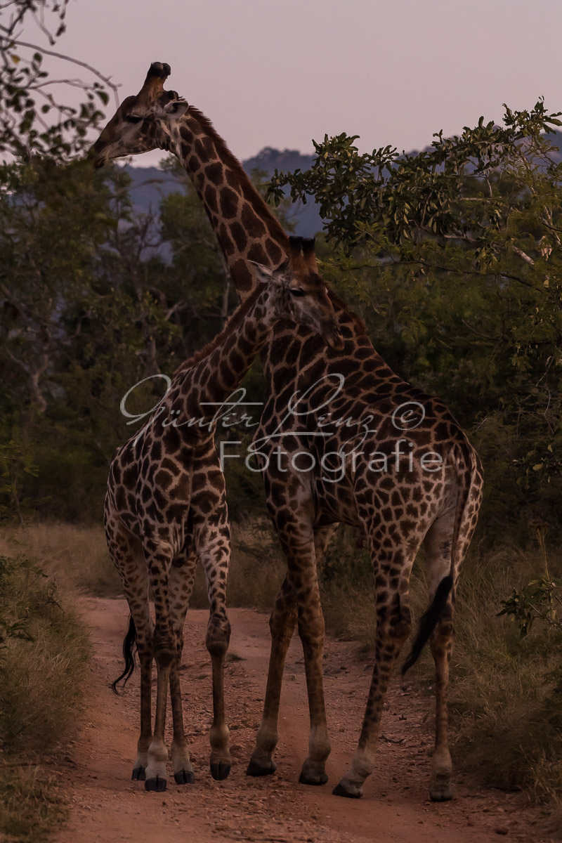 Mpumalanga, Südafrika