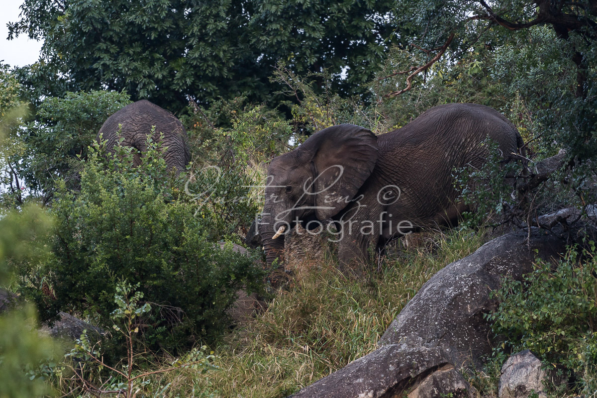 Mpumalanga, Südafrika