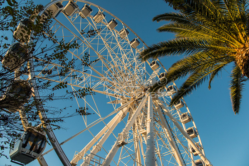 Cape Wheel