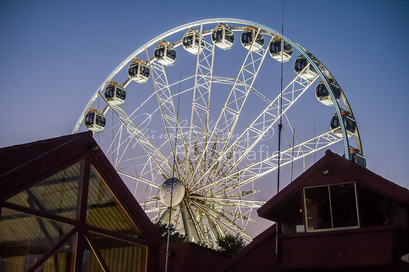 Cape Wheel