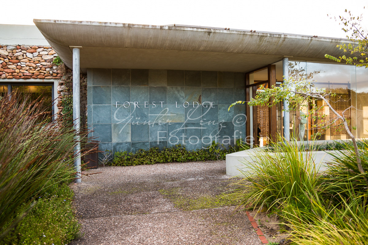 Forest Lodge, Grootbos