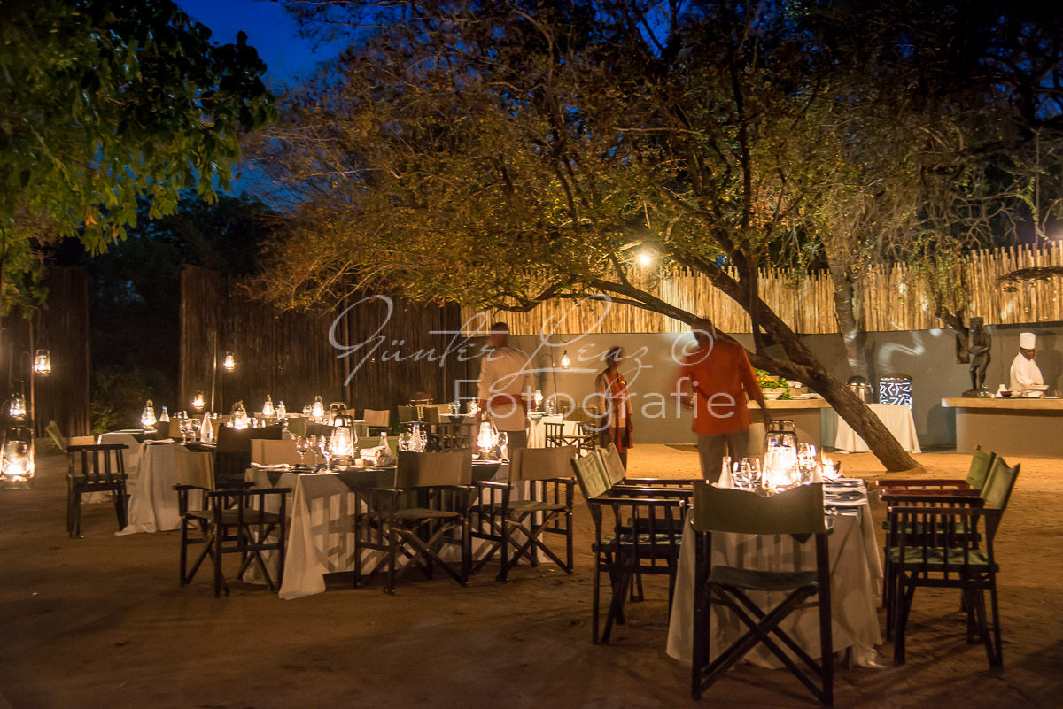 Sabie Sand Wildreservat, Südafrika