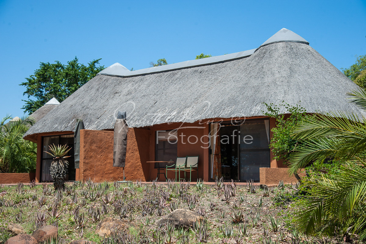 Mala Mala Game Reserve, Sabi Sands