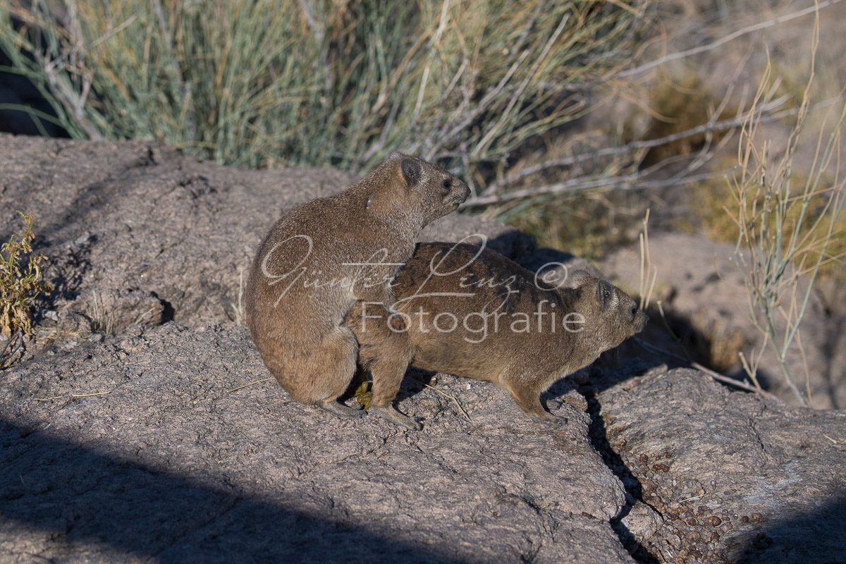Augrabies Nationalpark, Südafrika