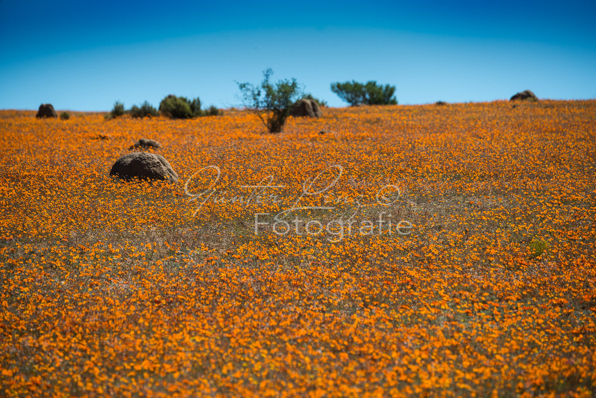 Namaqua Nationalpark