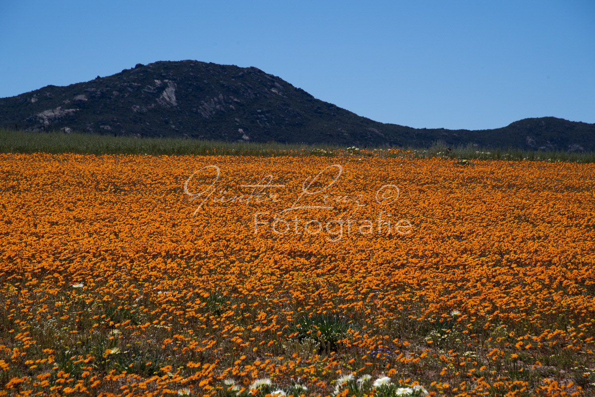 Namaqua Nationalpark