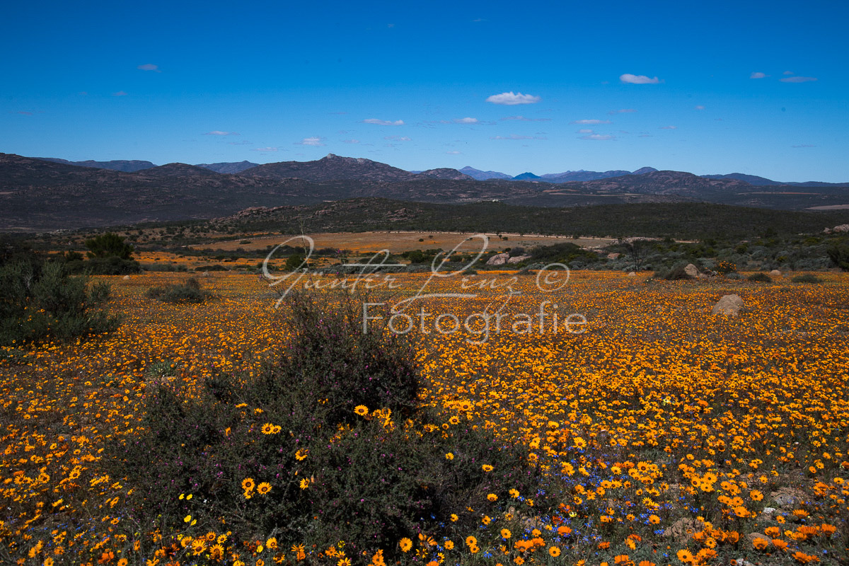 Namaqua Nationalpark